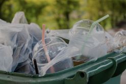 Las grandes compañías, con mayor capacidad financiera y logística, tienden a adelantarse a las exigencias, mientras que las PyMEs enfrentan mayores dificultades para absorber los costos y cambios operativos. / Foto: Getty Images.