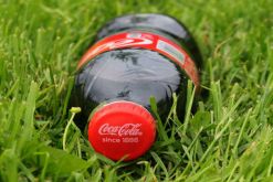 JV Coca Cola del Valle New Ventures compra Novaverde por USD 80 millones en Chile