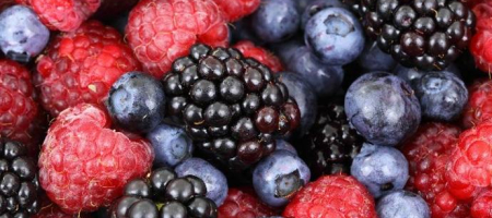 Agroberries produce y comercializa arándanos, frambuesas y moras./ Pixabay