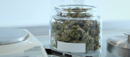 Costa Rica sería uno de los primeros tres países de Latinoamérica en permitir el uso del cannabis con fines recreativos./ Unsplash - Add Weed