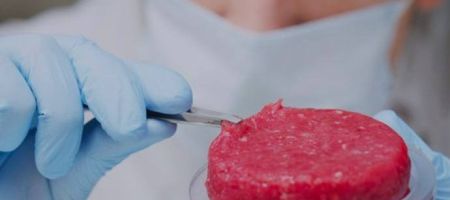 JBS, la mayor productora de proteína animal del mundo, está invirtiendo más de USD 60 millones para desarrollar carne cultivada en Santa Catarina./ Tomada del sitio web de Bio Tech Foods.
