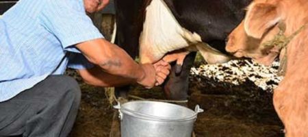 Microfinanciera Fundeser ofrece soluciones financieras a micro y pequeños empresarios, especialmente a los que viven en el sector rural./ Tomada del sitio web de la entidad.