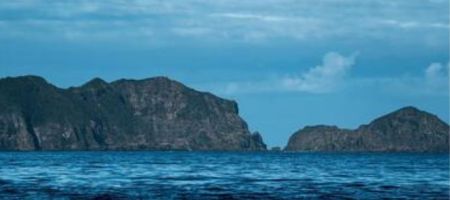 Guafo es la isla de mayor tamaño del archipiélago de Chiloé después de isla Grande./ Tomada del sitio web de WWF - Meredith Konut.