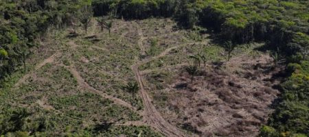 El ISA señaló que la ley general de licencias ambientales pone en riesgo 18 millones de hectáreas y más de 3.000 áreas protegidas. / Foto: Getty Images.