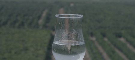 El pisco es un producto derivado de una cultura compartida / Agencia Andina.