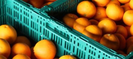 Argen-Pool alquila e higieniza contenedores de plástico reutilizables en la industria de alimentos. Cuenta con tres divisiones: envases RPC, frío e insumos./ Tomada del sitio web de la empresa.