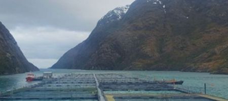 Pesquera Yadran cultiva y procesa productos frescos de salmón del Atlántico./ Tomada de la página de la empresa en Canva.