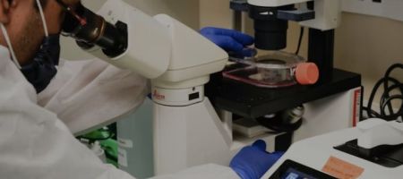 Se está armando un equipo multidisciplinario que será una salvaguarda importante / Unsplash, National Institute of Allergy and Infectious Diseases.
