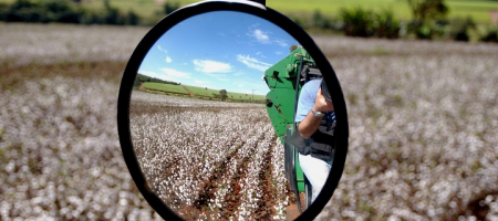Estudio O'Farrell asesora a Monsanto en venta de semillero de algodón en Argentina