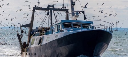 Rabobank otorga préstamo a pesquera peruana con asesoría de Payet, Rey