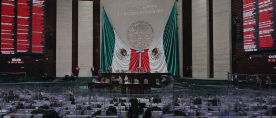 "Las reservas de litio en México no están verificadas y el país no es, necesariamente, un “gigante” de este mineral", Ocampo / Imagen obtenida del sitio oficial de la Cámara de Diputados. 